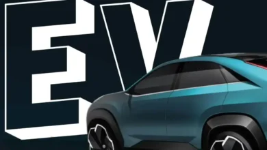 EV बेचने में नंबर 1 बनी ये कंपनी, जून में बिकीं इतनी इलेक्ट्रिक कार