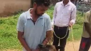 शराब पार्टी में विवाद बना हत्या की वजह, दोस्त ने सिलबट्टे से उतारा मौत के घाट
