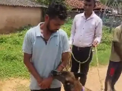 शराब पार्टी में विवाद बना हत्या की वजह, दोस्त ने सिलबट्टे से उतारा मौत के घाट