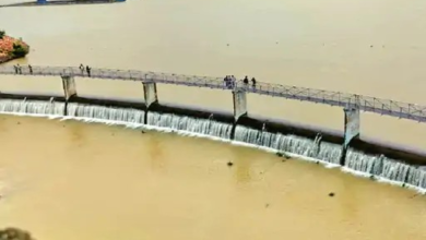 छत्तीसगढ़ में बारिश का असर, खूंटाघाट समेत तीन प्रमुख जलाशय हुए लबालब छत्तीसगढ़ में बारिश का असर, खूंटाघाट समेत तीन प्रमुख जलाशय हुए लबालब