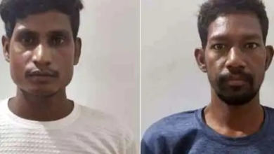 हाथियों से क्रूरता का VIDEO: रायगढ़ में पत्थर और पटाखों से डराया, 2 गिरफ्तार हाथियों से क्रूरता का VIDEO: रायगढ़ में पत्थर और पटाखों से डराया, 2 गिरफ्तार