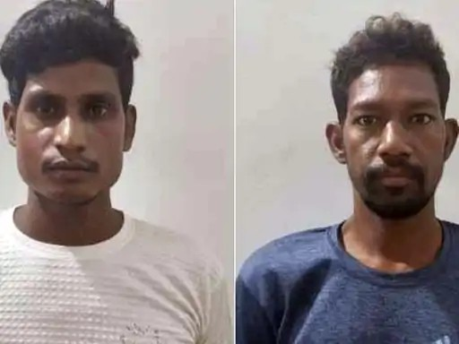 हाथियों से क्रूरता का VIDEO: रायगढ़ में पत्थर और पटाखों से डराया, 2 गिरफ्तार