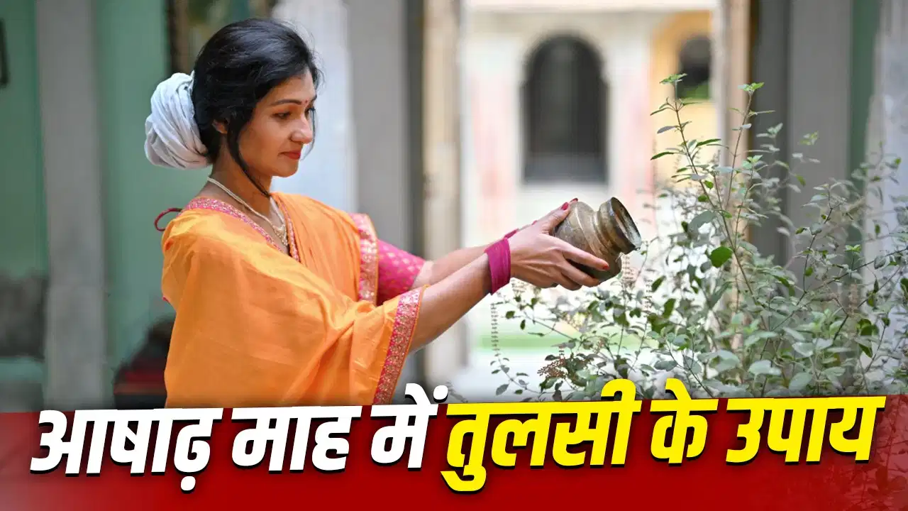 घर में है पैसों की तंगी? आषाढ़ मास में करें तुलसी से जुड़े ये 5 खास उपाय घर में है पैसों की तंगी? आषाढ़ मास में करें तुलसी से जुड़े ये 5 खास उपाय
