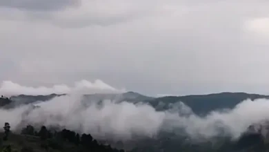 सरगुजा संभाग में तीन दिन भारी बारिश के आसार, यलो अलर्ट जारी; कम वर्षा से खेती का काम प्रभावित