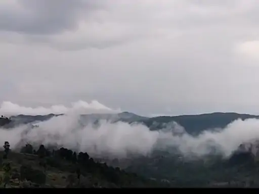 सरगुजा संभाग में तीन दिन भारी बारिश के आसार, यलो अलर्ट जारी; कम वर्षा से खेती का काम प्रभावित