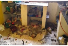 मध्यप्रदेश से आए 3 हाथियों का मरवाही में आतंक: घरों में घुसकर तोड़फोड़, फसलें रौंदी; वन विभाग ने जारी किया अलर्ट