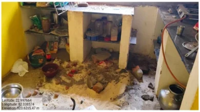 मध्यप्रदेश से आए 3 हाथियों का मरवाही में आतंक: घरों में घुसकर तोड़फोड़, फसलें रौंदी; वन विभाग ने जारी किया अलर्ट