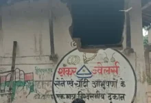 रायगढ़ में हाथियों का आतंक: 164 हाथियों की मौजूदगी, घरों की दीवारें गिराईं और धान की फसल रौंदी
