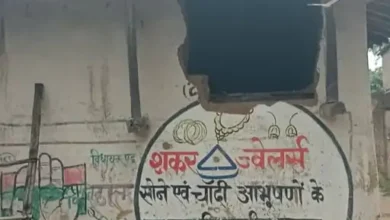 रायगढ़ में हाथियों का आतंक: 164 हाथियों की मौजूदगी, घरों की दीवारें गिराईं और धान की फसल रौंदी