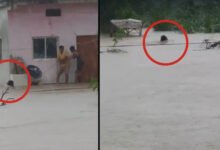 Rajgarh Car Accident: नाले के तेज बहाव में बही कार, 6 की मौत; 2 लापता, 3 लोगों का रेस्क्यू