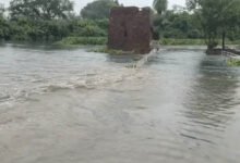 Bhopal Rain: 24 घंटे में 7 इंच बरसा पानी, कलियासोत-केरवा-कोलार में बढ़ा जलस्तर; शहर बेहाल