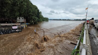 MP Rain: मंडला में नर्मदा नदी का रौद्र रूप, कान्हा से संपर्क टूटा; कई सहायक नदियां भी उफान पर MP Rain: मंडला में नर्मदा नदी का रौद्र रूप, कान्हा से संपर्क टूटा; कई सहायक नदियां भी उफान पर