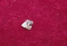Panna Diamond: बारिश के पानी ने बदली किस्मत, खदान में मिला 16.96 कैरेट का ₹50 लाख का हीरा