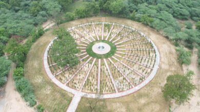 योगी सरकार स्वतंत्रता दिवस (15 अगस्त) पर सभी जिलों में कराएगी स्थापना, लगेंगे ‘एक पेड़ मां के नाम’