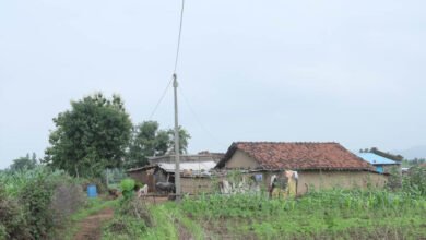 MP के 34 हजार से ज्यादा आदिवासी घरों में पहुंचेगी स्थायी रोशनी, ऊर्जा मंत्री तोमर ने बताई बड़ी उपलब्धि