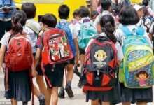स्कूलों में सर्प-बिच्छू से सुरक्षा के लिए नया निर्देश, बच्चों के प्रवेश से पहले परिसर की होगी जांच