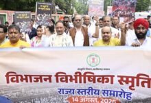 विभाजन की पीड़ा से सीख लेकर देश की एकता मजबूत करना जरूरी: CM विष्णुदेव साय