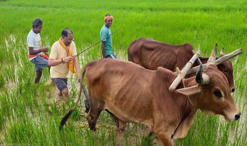 मुख्यमंत्री ने कहा – किसान परिवार से होने के नाते खेती मेरे लिए केवल आजीविका नहीं, जीवन का संस्कार