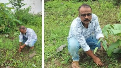 अनवर खान ने लगाए अशाेक ,नीम का पौधे