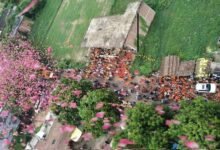 सावन के सोमवार और नागपंचमी का अद्भुत संयोग, शिवालयों में उमड़े श्रद्धालु