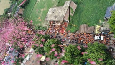 सावन के सोमवार और नागपंचमी का अद्भुत संयोग, शिवालयों में उमड़े श्रद्धालु