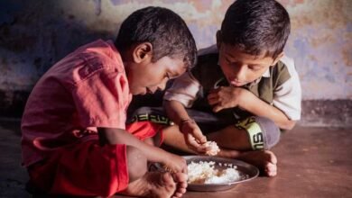 2027 में दुनिया पर छा सकता है Food Crisis, JP Morgan की चेतावनी; El Niño से लेकर खाद की कमी तक बढ़ाएगी मुश्किल