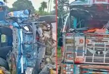 NH-719 पर दर्दनाक हादसा, गायों को बचाने में बेकाबू हुआ लोडिंग वाहन; 8 मजदूरों की मौत, 20+ घायल
