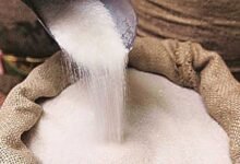 नहीं चलेगी चीनी की जमाखोरी! केंद्र सरकार ने बदली स्टॉक लिमिट, कारोबारियों के लिए नई पाबंदी