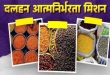 दलहन में आत्मनिर्भरता मिशन को रफ्तार! गतिविधियों की मॉनिटरिंग के लिए राज्य संचालन समिति गठित