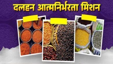 दलहन में आत्मनिर्भरता मिशन को रफ्तार! गतिविधियों की मॉनिटरिंग के लिए राज्य संचालन समिति गठित