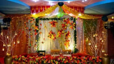 झांकी-पंडाल की साज-सज्जा के लिए अस्थाई बिजली कनेक्शन जरूरी: मंत्री तोमर