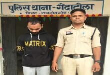 CG News: राजनांदगांव में फर्जी SIM कार्ड का खुलासा, पुलिस ने आरोपी को दबोचा; 238 सिम बरामद