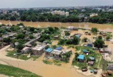 पटना में गंगा ने पार किया खतरे का निशान, बक्सर-भागलपुर तक बढ़ा जलस्तर; घाघरा-गंडक का भी हाल जानें