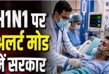 देश में क्यों बढ़ रहे Swine Flu के मामले? नया स्ट्रेन नहीं, कमजोर इम्यूनिटी बनी वजह