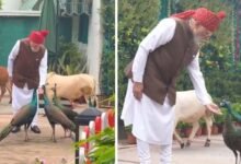लाल किले रवाना होने से पहले PM मोदी ने खिलाया चारा-दाना, वीडियो हुआ वायरल
