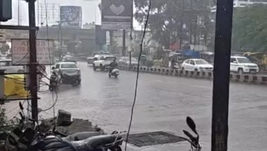 छत्तीसगढ़ में अगले 48 घंटे भारी बारिश का अलर्ट, उत्तर-मध्य हिस्सों में बरसेगा पानी छत्तीसगढ़ में अगले 48 घंटे भारी बारिश का अलर्ट, उत्तर-मध्य हिस्सों में बरसेगा पानी
