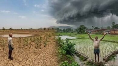 मेरठ-मुजफ्फरनगर समेत 5 जिलों में सामान्य से 120% अधिक बारिश, कई जिले पिछड़े