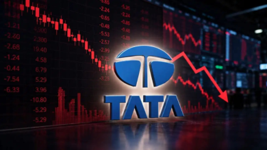 N Chandrasekaran के इस्तीफे से टाटा ग्रुप के शेयरों में भारी गिरावट, 5% तक टूट गया TCS