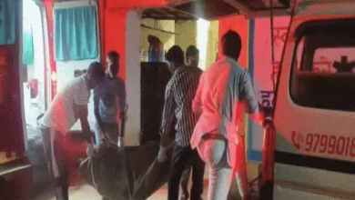 दिल्ली-मुंबई एक्सप्रेसवे पर ट्रक से टकराई पिकअप, 3 की मौत:गाड़ी में पीछे सो रहे थे, पलटने से नीचे दबे; मेरठ से पौधे लेकर आ रहे थे दिल्ली-मुंबई एक्सप्रेसवे पर ट्रक से टकराई पिकअप, 3 की मौत:गाड़ी में पीछे सो रहे थे, पलटने से नीचे दबे; मेरठ से पौधे लेकर आ रहे थे