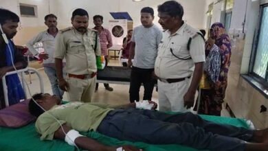 बाघिन ने किया चरवाहे पर हमला, भैंसों की वफादारी से बची जान