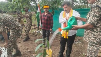 मेरे जीवन का सबसे महत्वपूर्ण दिन –  शर्मा