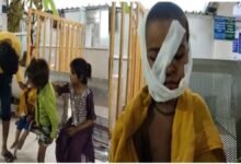 पागल कुत्ते का दहशत: 3 बहनों समेत 4 मासूमों पर हमला, 2 की हालत गंभीर, गांव में डर का माहौल