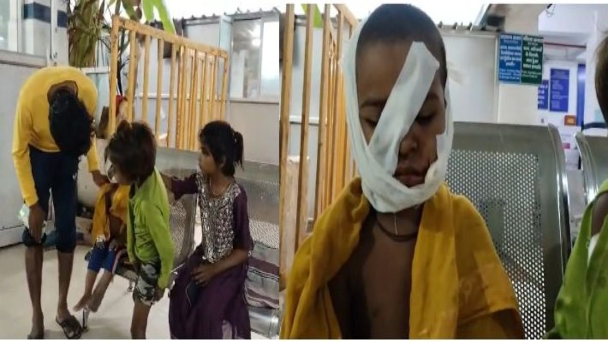 पागल कुत्ते का दहशत: 3 बहनों समेत 4 मासूमों पर हमला, 2 की हालत गंभीर, गांव में डर का माहौल