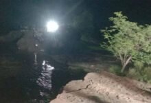 भागलपुर में राघोपुर बांध टूटने की वजह बना नदी का टापू? कटाव ने बढ़ाई चिंता