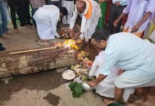 बस्तर दशहरा की पहली रस्म पाट जात्रा हुई संपन्न, पूरे विधि-विधान से हुई पूजा