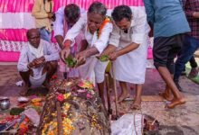 Bastar दशहरा का आगाज, साल की लकड़ी से शुरू हुई पहली रस्म; मां दंतेश्वरी को अर्पित किया गया काष्ठ