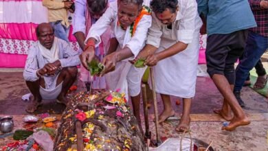 Bastar दशहरा का आगाज, साल की लकड़ी से शुरू हुई पहली रस्म; मां दंतेश्वरी को अर्पित किया गया काष्ठ