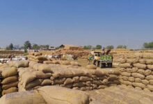 CG के धान खरीदी केंद्र में बड़ा घोटाला, ₹1.31 करोड़ की गड़बड़ी में दो गिरफ्तार