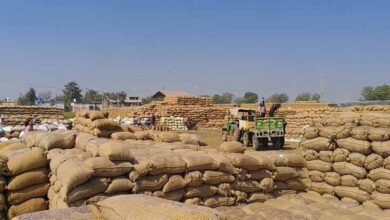 CG के धान खरीदी केंद्र में बड़ा घोटाला, ₹1.31 करोड़ की गड़बड़ी में दो गिरफ्तार