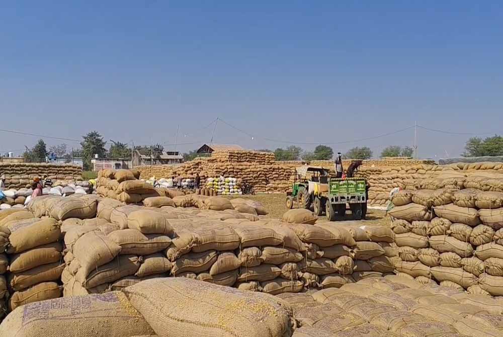 CG के धान खरीदी केंद्र में बड़ा घोटाला, ₹1.31 करोड़ की गड़बड़ी में दो गिरफ्तार CG के धान खरीदी केंद्र में बड़ा घोटाला, ₹1.31 करोड़ की गड़बड़ी में दो गिरफ्तार